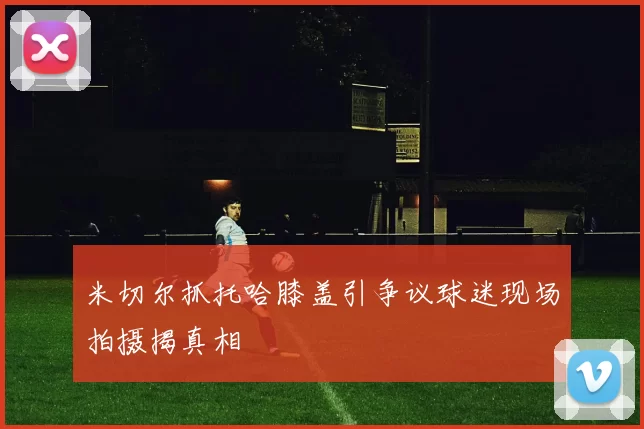 米切尔抓托哈膝盖引争议球迷现场拍摄揭真相