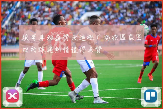 埃奇库姆盛赞麦迪逊广场花园氛围纽约球迷热情值得点赞